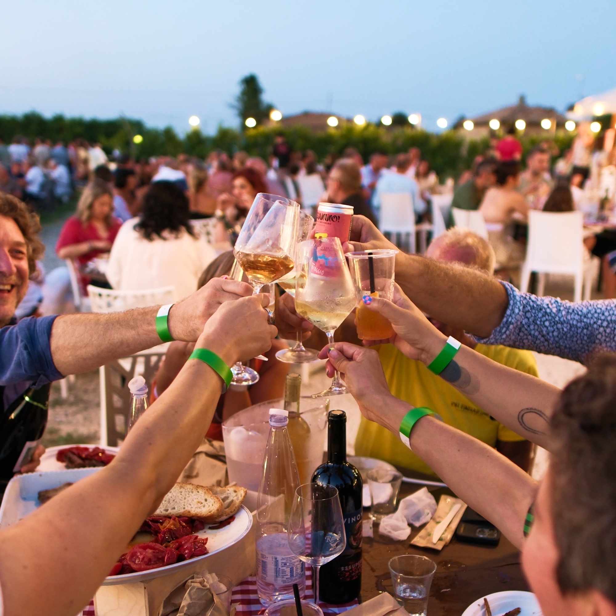 Festa della cantina Randi Vini